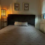 Elaia 弗拉斯纳